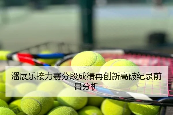 潘展乐接力赛分段成绩再创新高破纪录前景分析