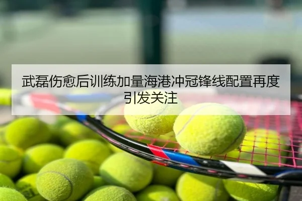武磊伤愈后训练加量海港冲冠锋线配置再度引发关注
